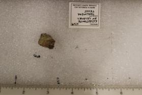 Eglestonite with Calomel
