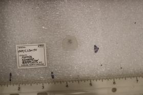 Beryllonite