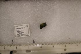 Kamotoite-Y