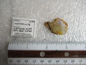 Masutomilite