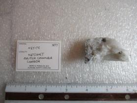 Neyite