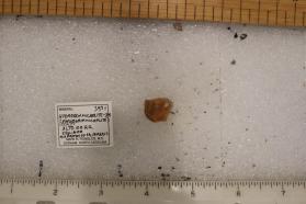 Parabutlerite