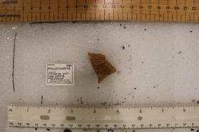 Phyllotungstite