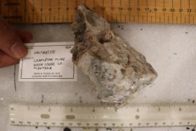 Polybasite