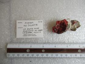 Minium with Selenite