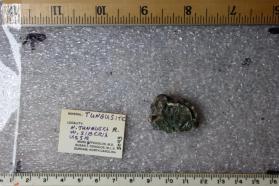 Tungusite