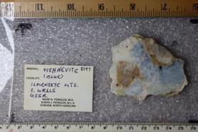 Vishnevite