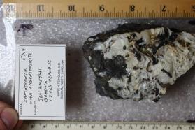 Xanthoconite with Argentopyrite