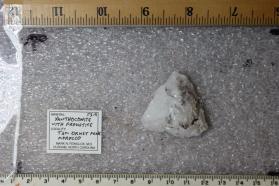 Xanthoconite with Proustite