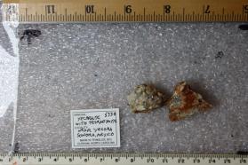 Yecoraite (2 pieces)