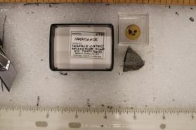 Harrisonite (2 pieces)