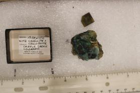 Bornite with Covellite (2 pieces)