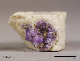 FLUORAPATITE