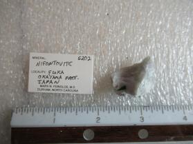 Nifontovite