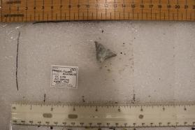 Potassic-fluoro-richterite