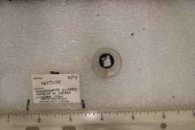 Katoite