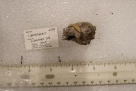 Chrysoberyl