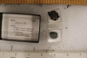 Homilite (2 pieces)