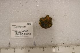 Deliensite
