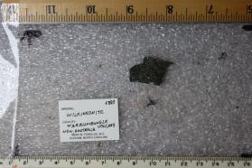Wilkinsonite