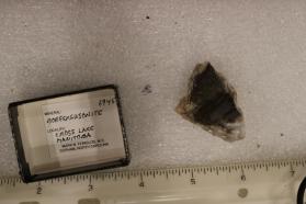 Bobfergusonite