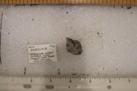 Goldfieldite