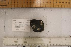 Phillipsite-K with Mordenite