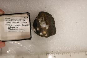 Clinoptilolite-Ca