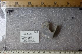 Variscite