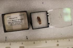 Brandtite (piece B)