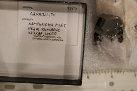 Carrollite