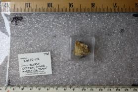 Zalesiite