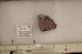 Kassite
