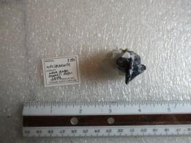 Molybdenite