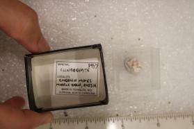Clinobehoite
