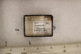 Bianchite