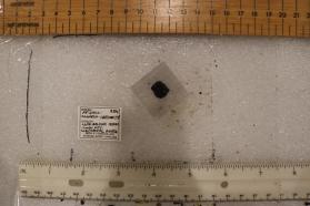 Potassic-magnesio-hastingsite
