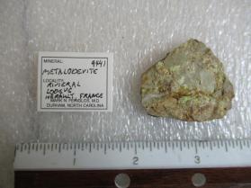 Metalodevite