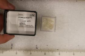 Ferri-winchite (2 pieces)