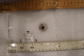 Kawazulite with Krupkaite