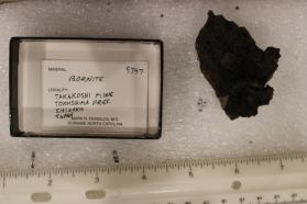 Bornite