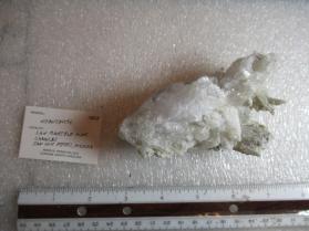 Nifontovite