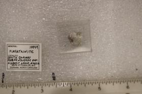 Kasatkinite