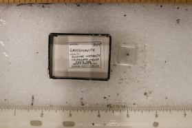 Grossmanite