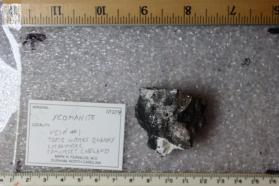 Yeomanite