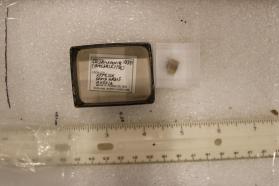 Chlormayenite