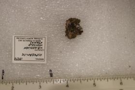 Aspedamite