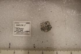Fogoite-Y