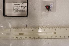 Chubarovite