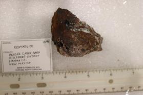 Kentrolite